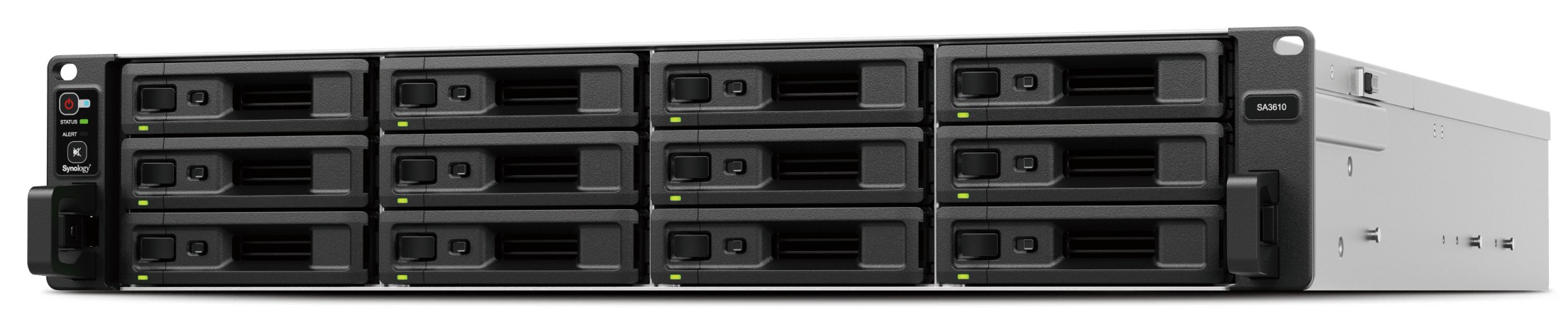 SYNOLOGY RACK STATION SA3610 FLEXIBLE PETABYTE-SCALE STORAGE